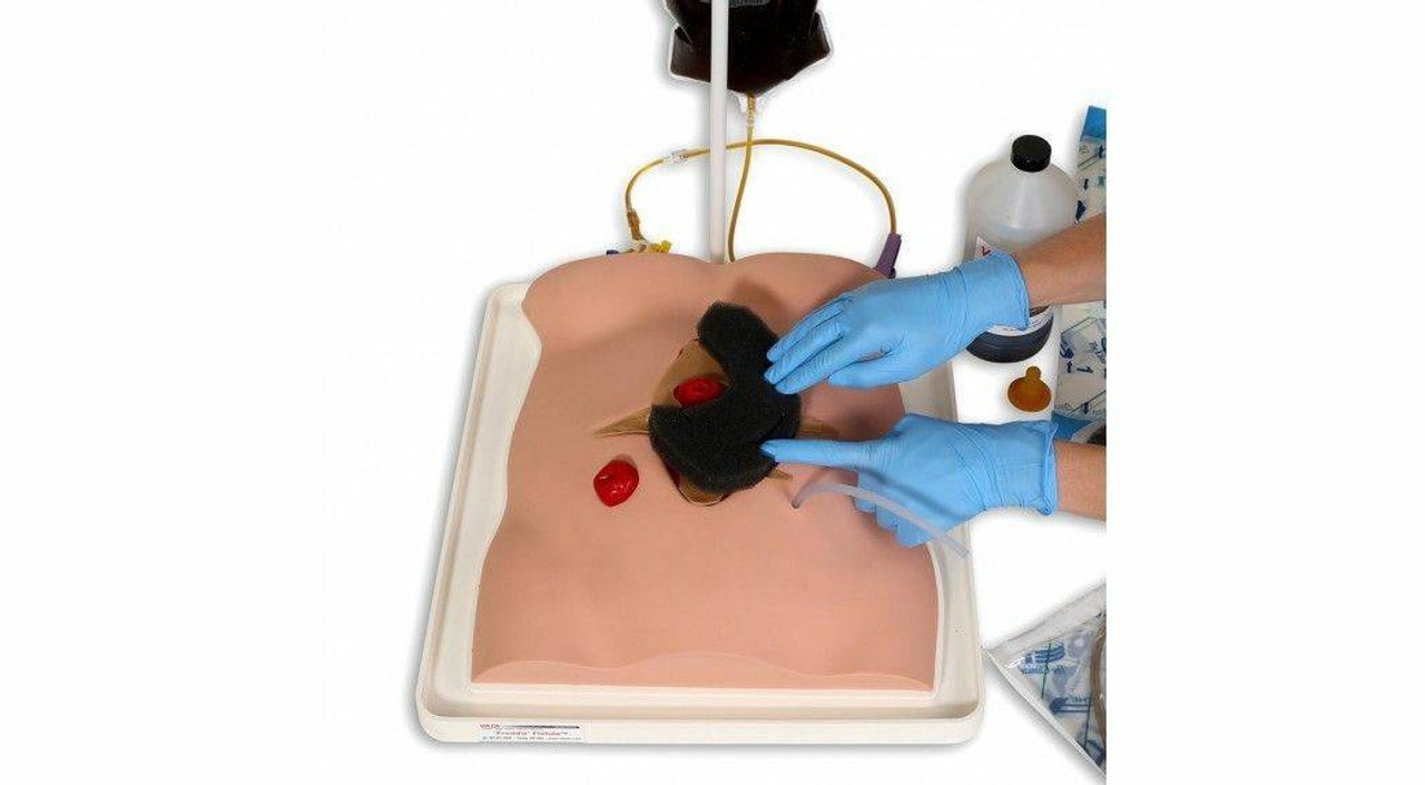 Freddie Fistula Skills Trainer