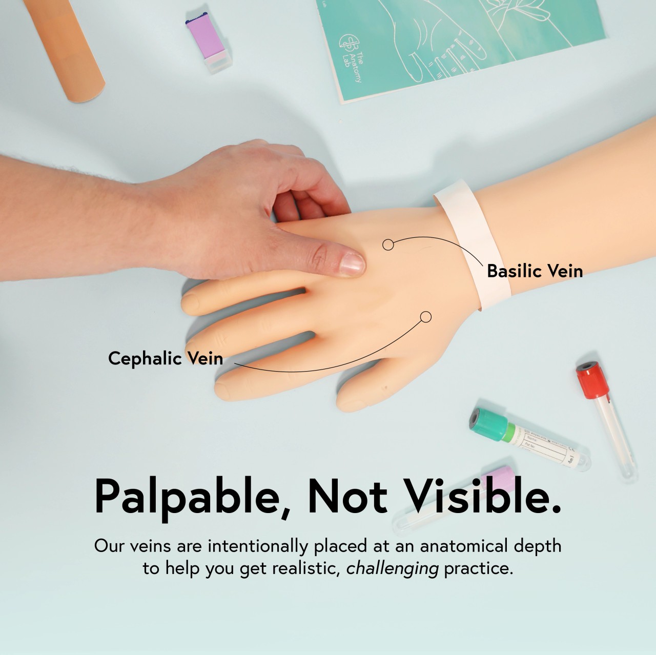 Anatomy Lab Venipuncture and IV Practice Arm Kit and Simulation Arm