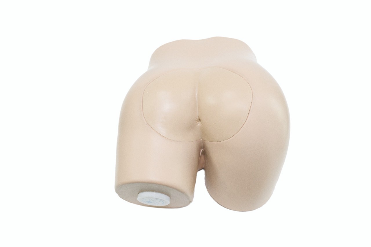 Anatomy Lab Rectal Digital Examination Trainer
