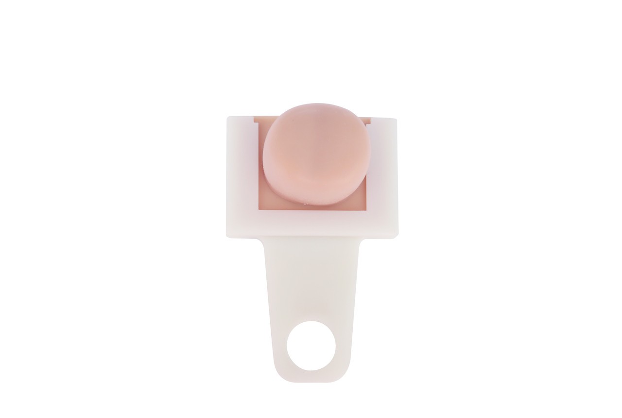 Anatomy Lab Rectal Digital Examination Trainer