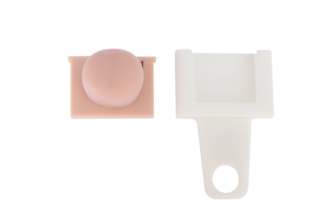 Anatomy Lab Rectal Digital Examination Trainer