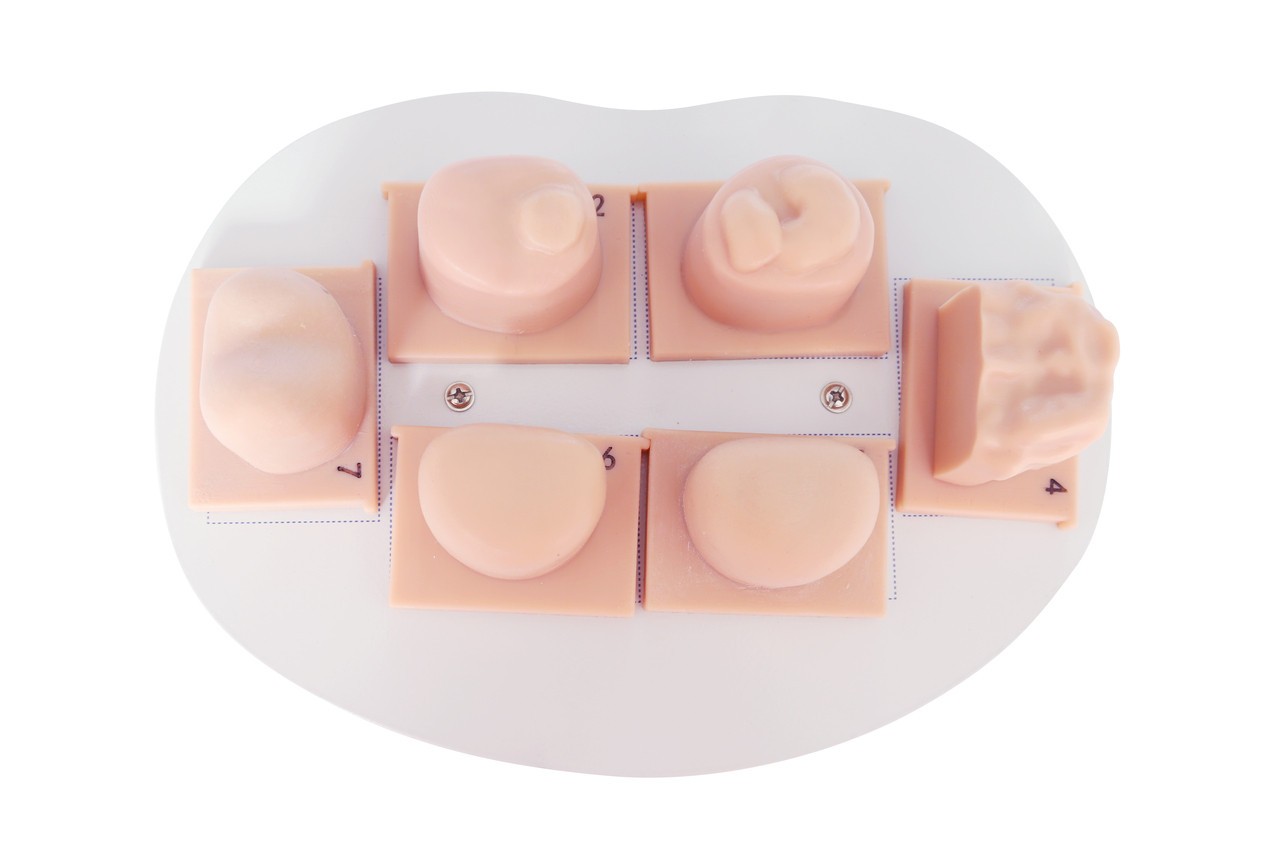 Anatomy Lab Rectal Digital Examination Trainer