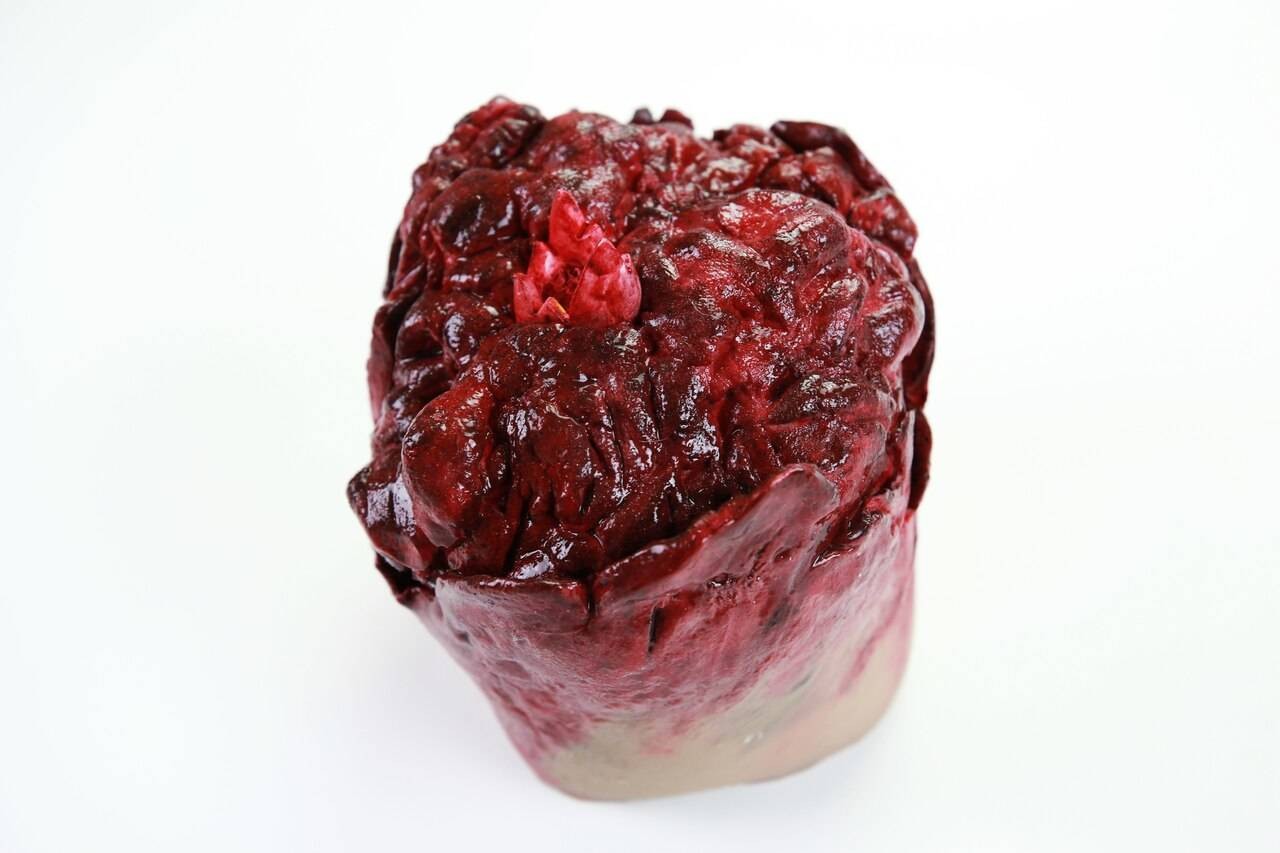 Anatomy Lab Moulage - Wearable Hemorrhaging Arms Amputation