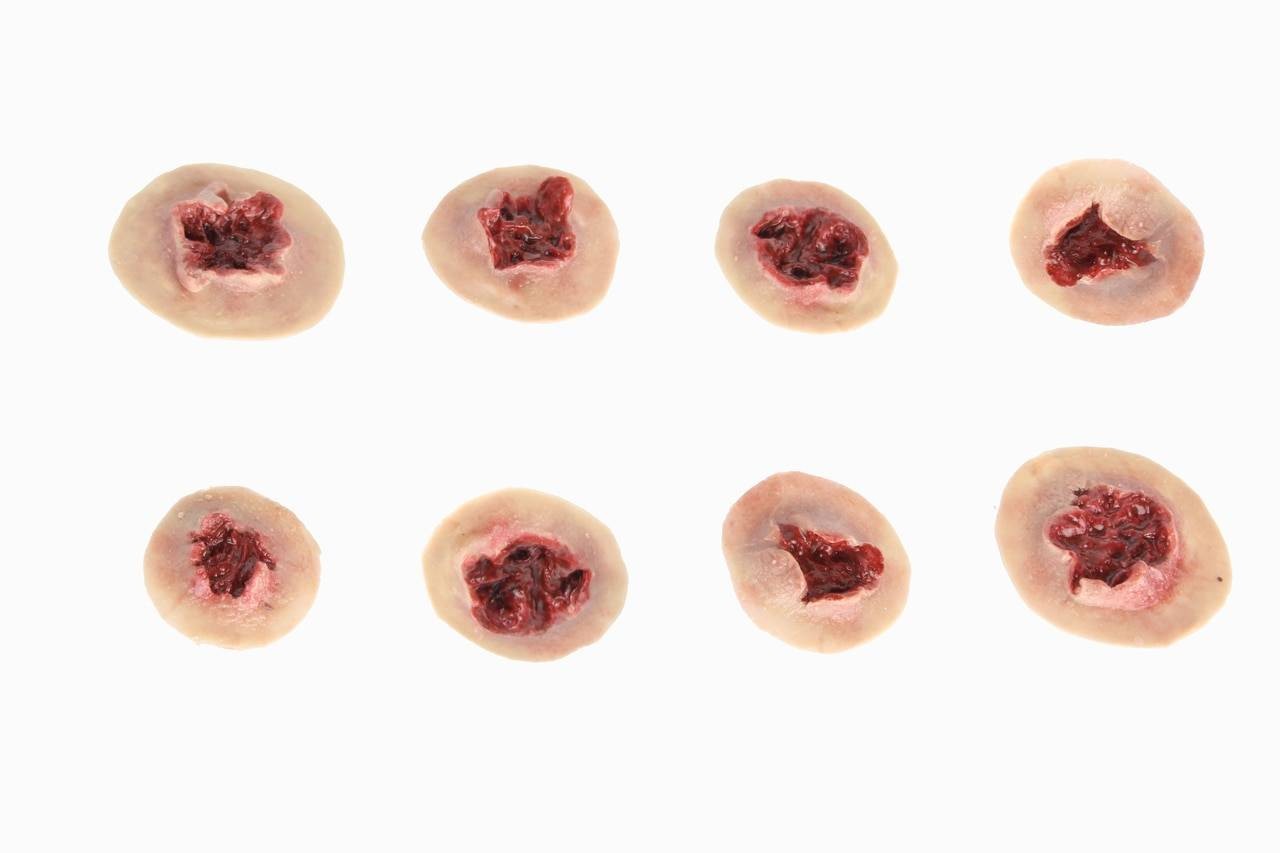 Anatomy Lab Moulage - 8 Piece Set of Gunshot Exit Wounds
