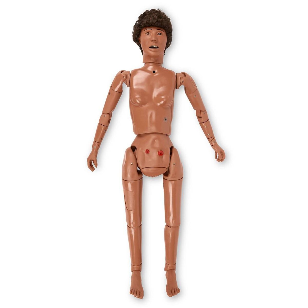 Life/form Advanced KERi Auscultation Manikin - Medium