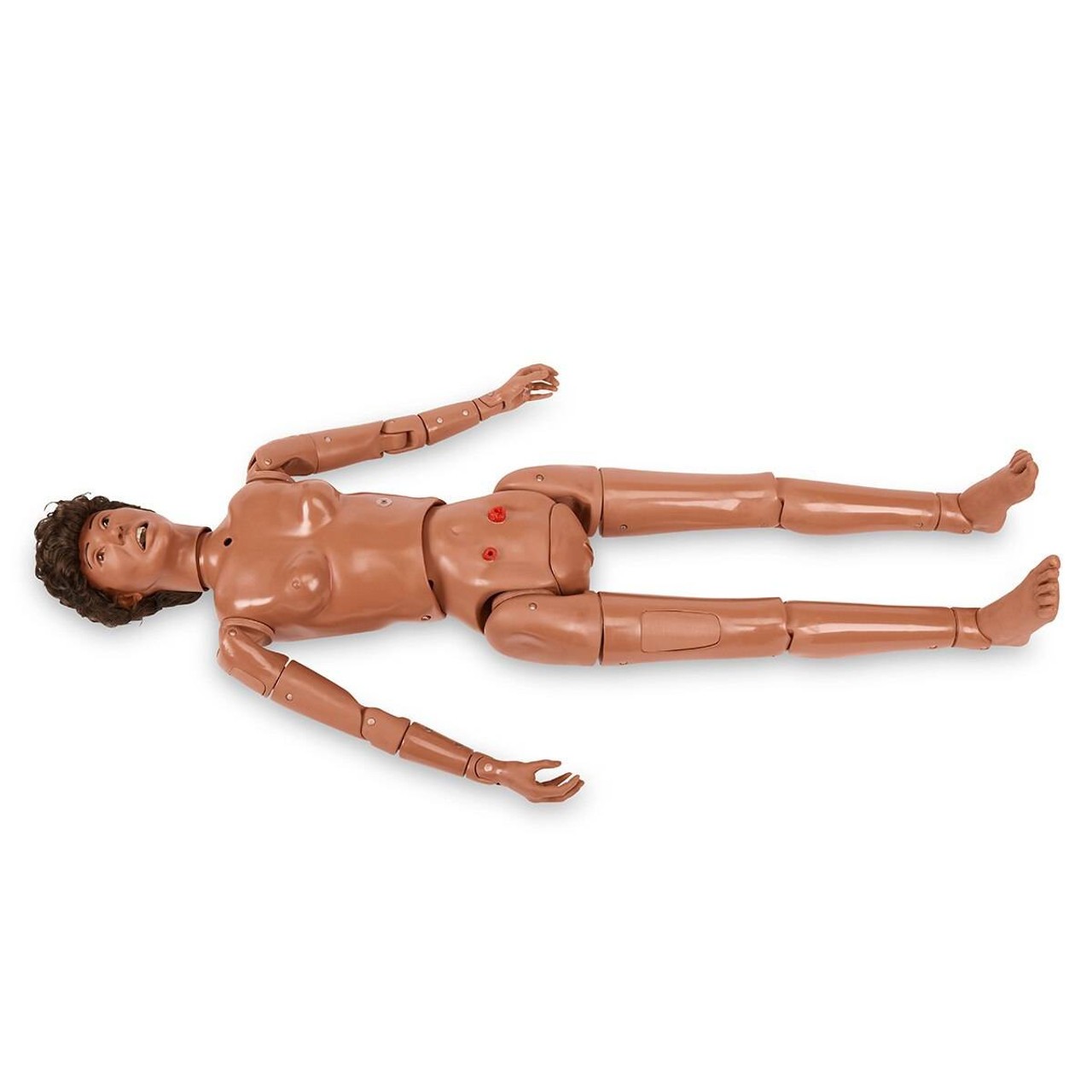 Life/form Advanced KERi Auscultation Manikin - Medium