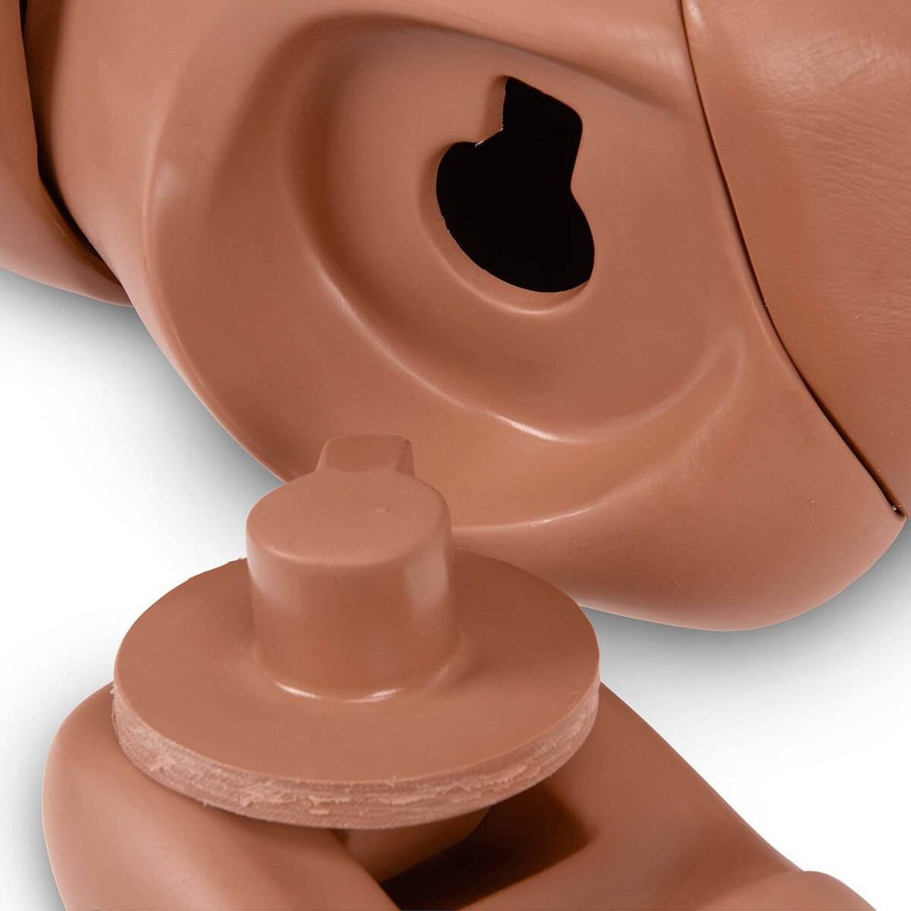 Life/form Basic KERi Manikin Without Carry Case - Medium