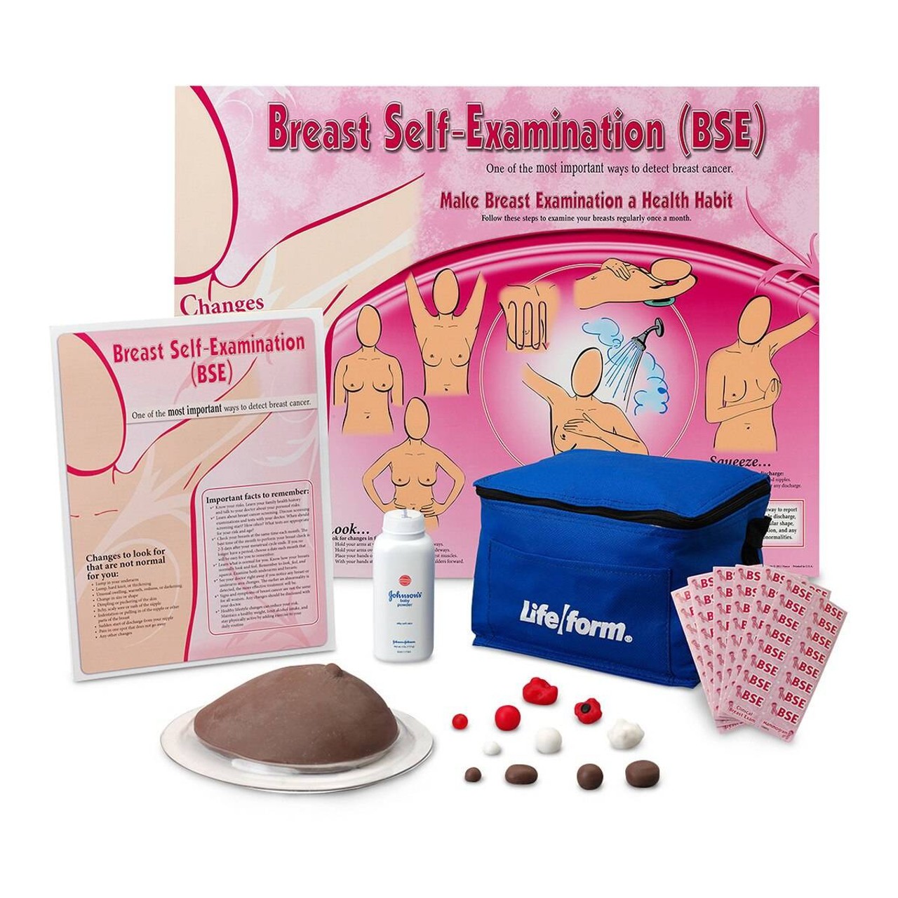 Nasco Complete Breast Examination Education Kit With Dark Trainer