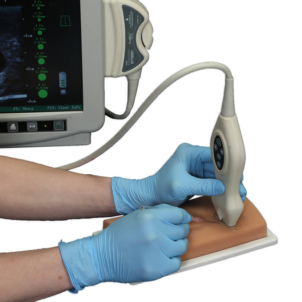 Vascular Access Ultrasound Phantom - 4 Vein Bifurcated with Deep Vein