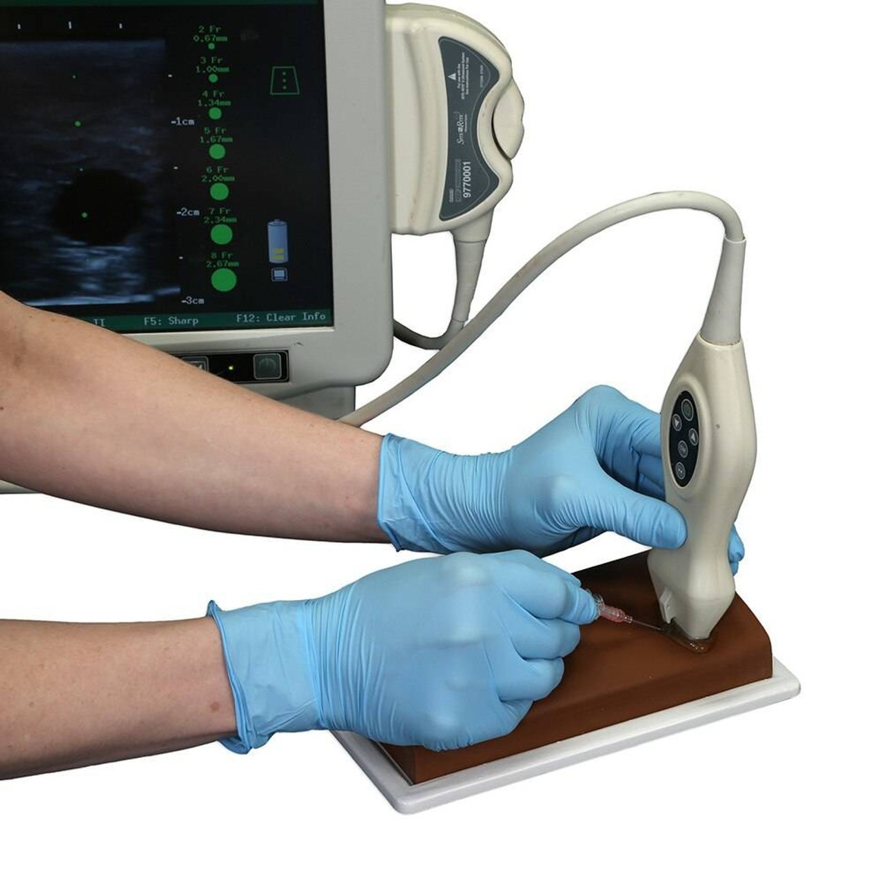 Vascular Access Ultrasound Phantom - 4 Vein Bifurcated with Deep Vein