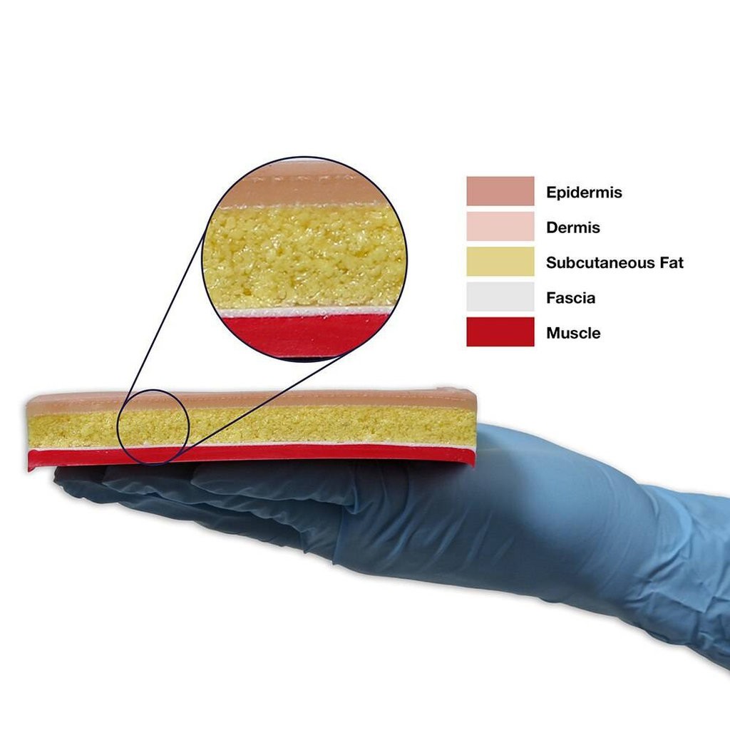 Replacement Tissue Pad for Suture Skills Trainer - 5 in X 8 in