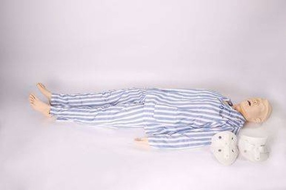 Anatomy Lab Closed Fracture Fixation and Spinal Cord Injury Handling Model