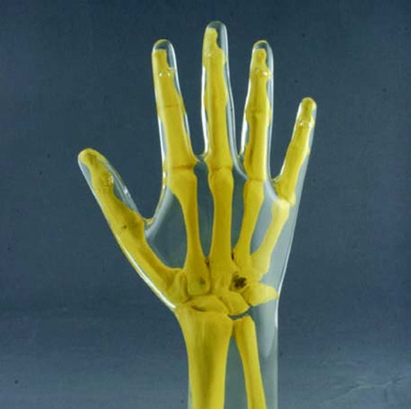 Anthropomorphic Hand Phantom