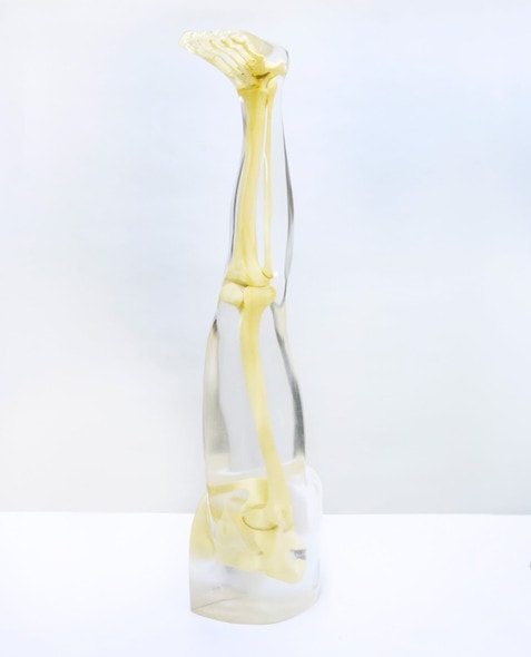 Anthropomorphic Complete Leg Phantom