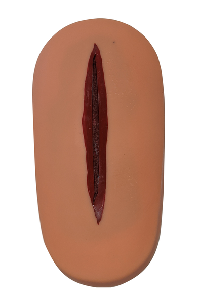 Wound Care Trainer Wound Care Trainer