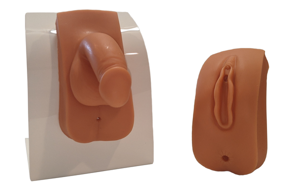 Anatomy Lab Dual Sex Urinary Catheterization and Enema Trainer with Stand Anatomy Lab Dual Sex Urinary Catheterization and Enema Trainer with Stand