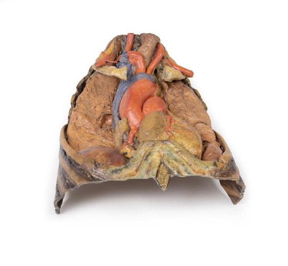 3D Printed Thorax with Heart and Vessels 3D Printed Thorax with Heart and Vessels