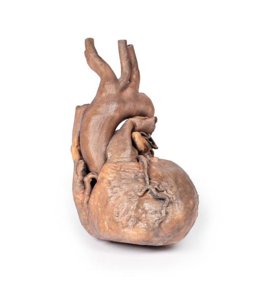 3D Printed Heart 3D Printed Heart