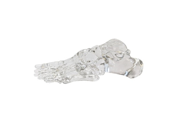 FlexBone Training Model - Full Foot