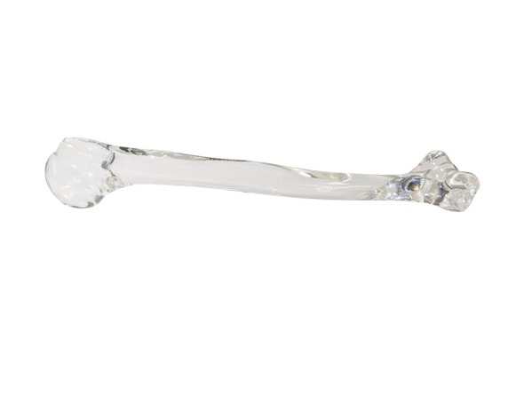 FlexBone Training Model - Humerus Bone