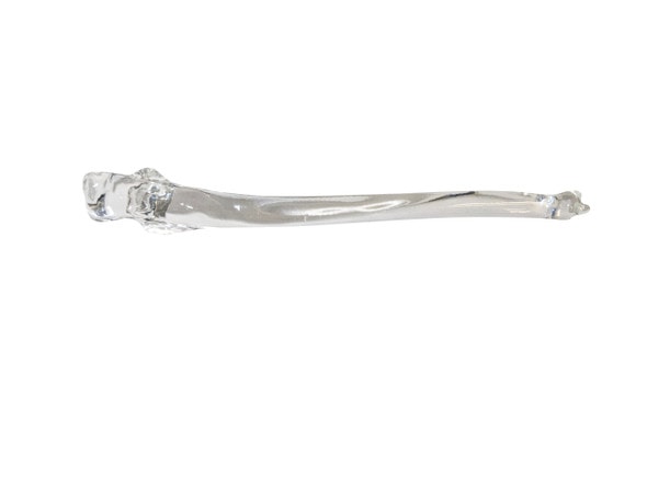 FlexBone Training Model - Ulna and Radius Bone