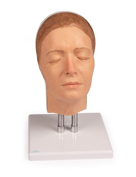 Training Head for Facial Injections - Light Skin with Feminine Features Training Head for Facial Injections - Light Skin with Feminine Features