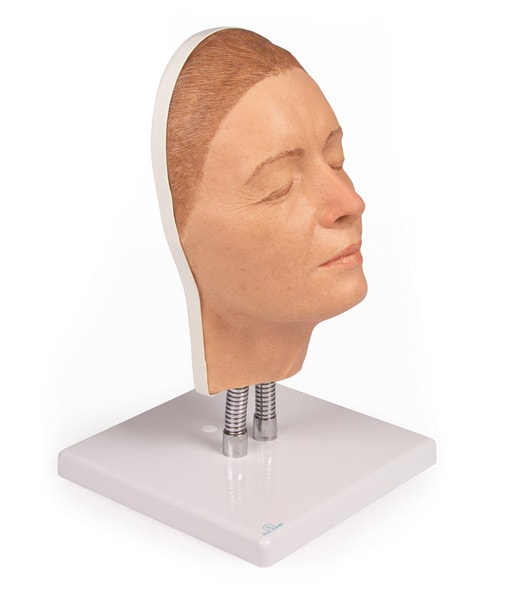 Training Head for Facial Injections - Light Skin with Feminine Features Training Head for Facial Injections - Light Skin with Feminine Features