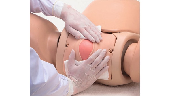 KOKEN Obstetric Assistant Model Set Type II, Hiroko KOKEN Obstetric Assistant Model Set Type II, Hiroko