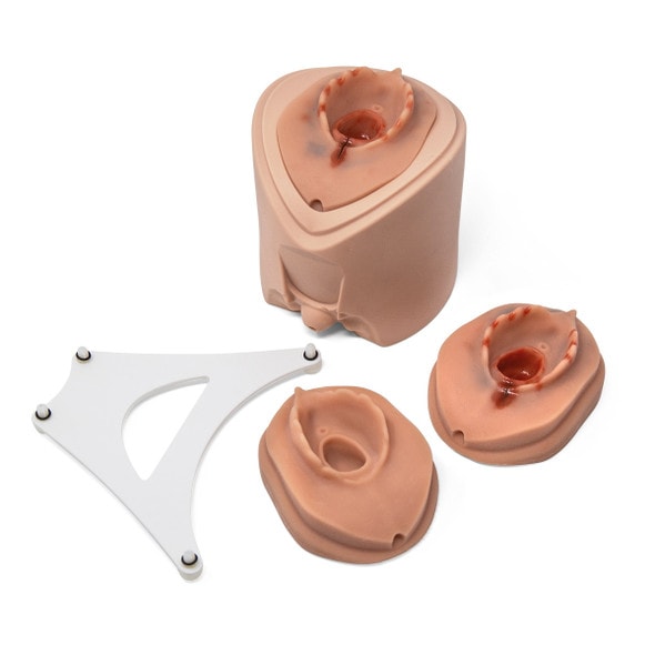 Episiotomy Suture Training Module for 3B Birthing Simulator, Light Skin Episiotomy Suture Training Module for 3B Birthing Simulator, Light Skin