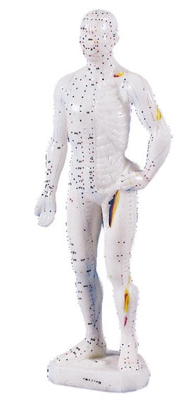 Chinese Acupuncture Figure, Male, 26 cm. Chinese Acupuncture Figure, Male, 26 cm.