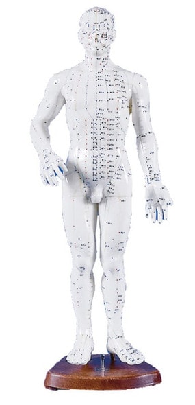 Chinese Acupuncture Figure, Male, 50 cm