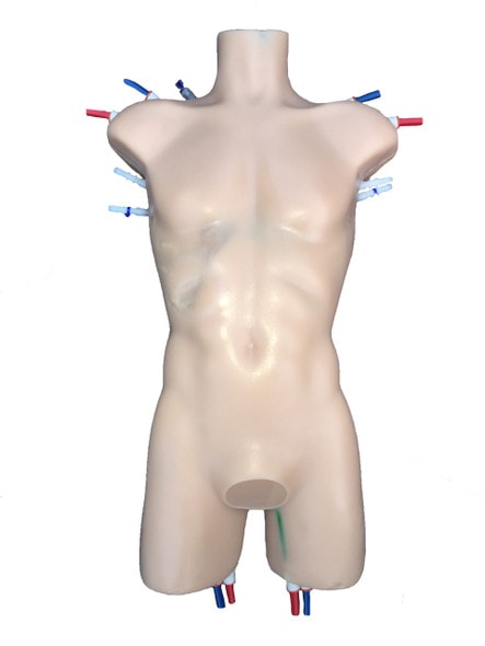 Advanced Adult Male Human Torso Phantom Model