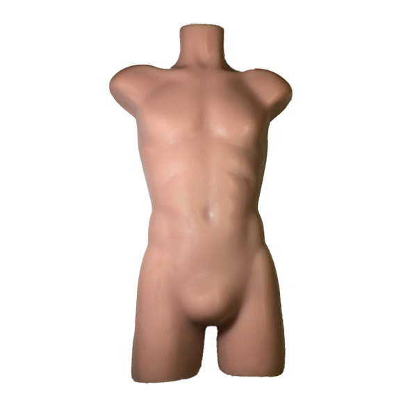 Adult Torso for X-Ray CT, US