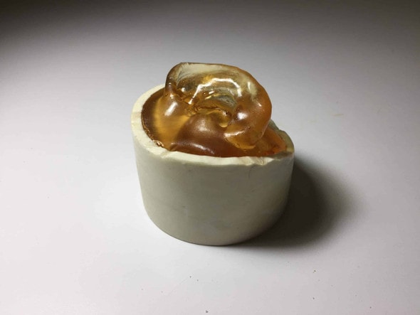 Adult Ear Phantom Model