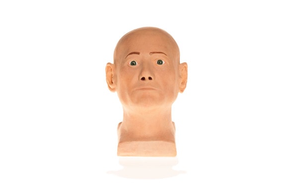 SimSkin Basic IL Duomo Head Cosmetic Training Model with Tumors