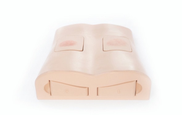 Anatomy Lab Abscess Drainage Ultrasound Trainer - Overview Anatomy Lab Abscess Drainage Ultrasound Trainer - Overview