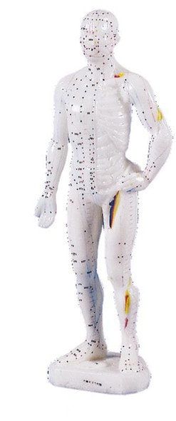 Anatomy Lab Intelligent Baby for Touching Training - Overview
