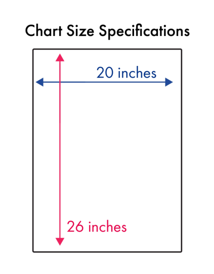 Understanding Cervical Cancer Anatomical Chart, 2nd Edition - Laminated - Chart Size