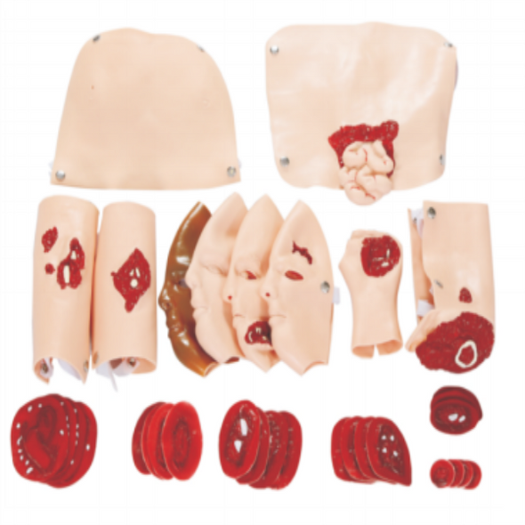 The Anatomy Lab Wound Assessment Module - 34 Piece Set can be used with any rescue and trauma manikin. The Anatomy Lab Wound Assessment Module - 34 Piece Set can be used with any rescue and trauma manikin.
