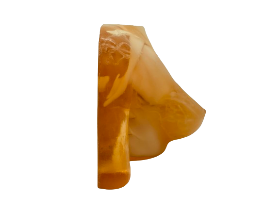 Adult Female Breast Phantom Model