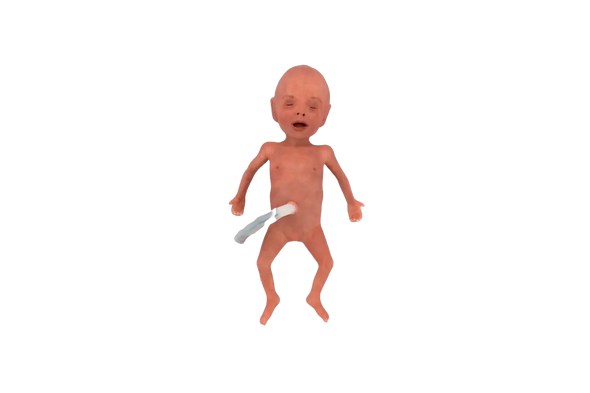 NENASim Preemie Advanced Premature Baby Simulator
