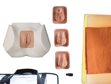 Catheterization Task Trainer