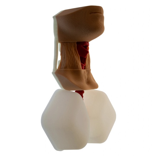 Essential Cricothyroidotomy Task Trainer