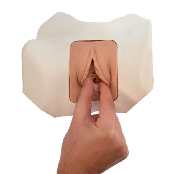 Essential Female Catheterization Task Trainer