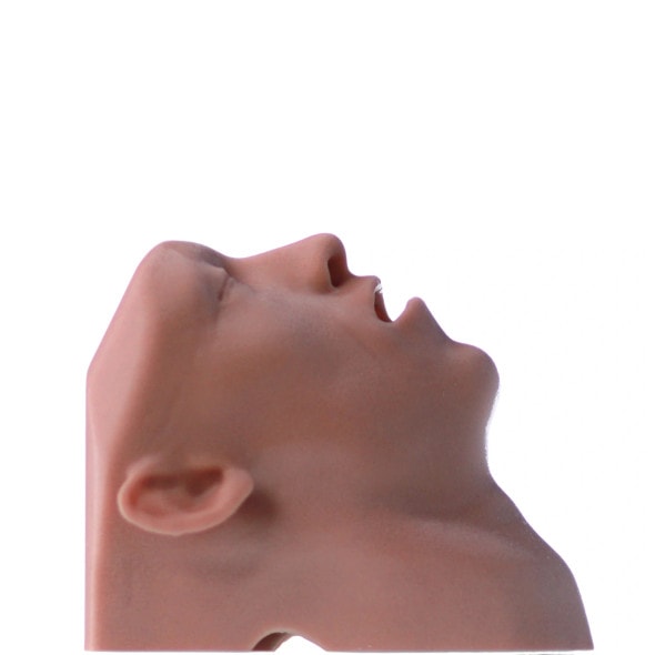Essential Airway Adjunct Placement Task Trainer