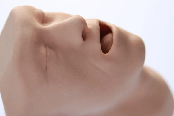 Essential Airway Adjunct Placement Task Trainer