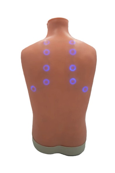 Auscultation Trainer 2.0