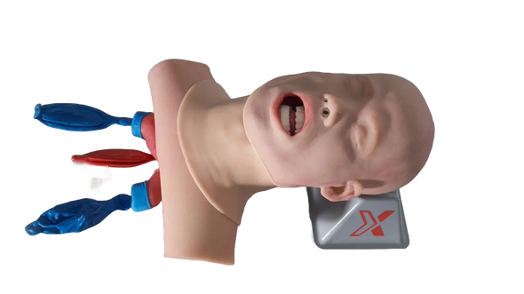 Advanced Airway Skills Task Trainer