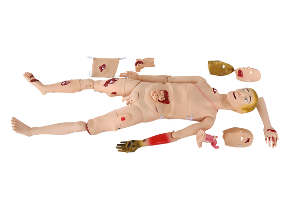 Anatomy Lab Trauma Manikin
