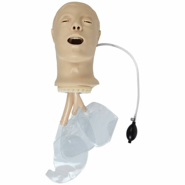 Anatomy Lab Airway Management Trainer